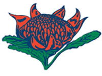 Hurstville South Public School - Melbourne School 0