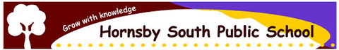 Hornsby South Public School - Melbourne School 0