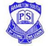 Hamilton South Public School - Melbourne School