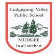 Cudgegong Valley Public School - Melbourne School