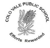 Colo Vale Public School - Melbourne School