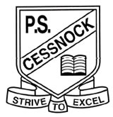 Cessnock Public School - Melbourne School 0