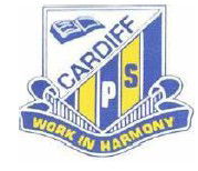 Cardiff Public School - Melbourne School 0