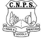 Campbelltown North Public School - Melbourne School