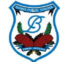 Banks Public School - Melbourne School