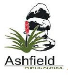 Ashfield Public School - Melbourne School 0