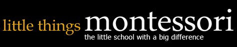 Little Things Montessori - Melbourne School 0
