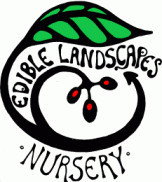 Northey Street City Farm - Melbourne School 1