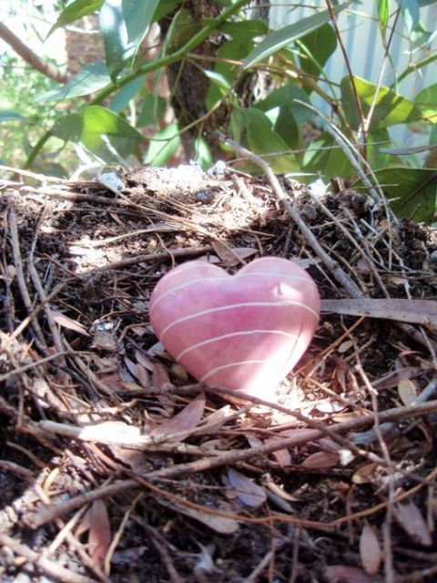 Adelaide Mindfulness - Melbourne School 0