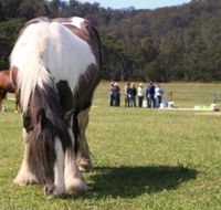 Unbridled Results - Melbourne School