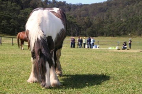 Unbridled Results - Melbourne School 0