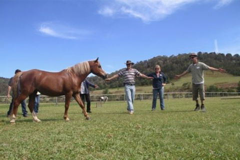 Unbridled Results - Melbourne School 1