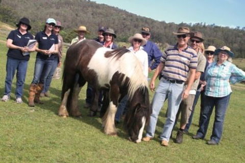 Unbridled Results - Melbourne School 2