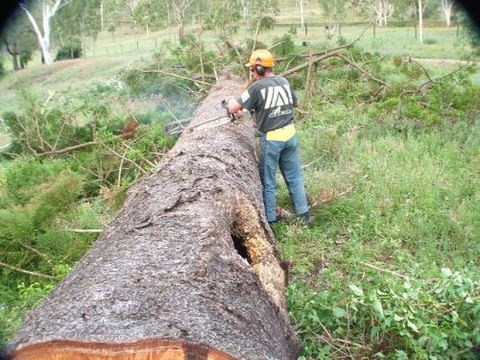 Steve Smith Chainsaw Training - Melbourne School 1