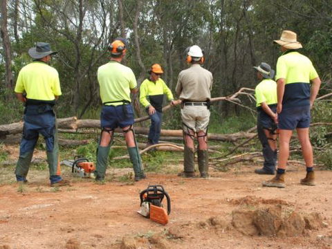 Steve Smith Chainsaw Training - Melbourne School 2