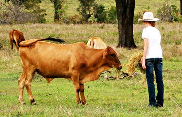 Alkoomi Outback Skills Farm - Melbourne School 2