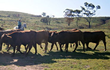 Alkoomi Outback Skills Farm - Melbourne School 3