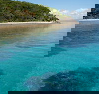 Remote Area Dive - Melbourne School