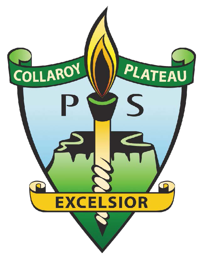 Collaroy Plateau NSW Melbourne School