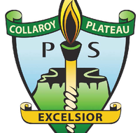 Collaroy Plateau Public School - Melbourne School