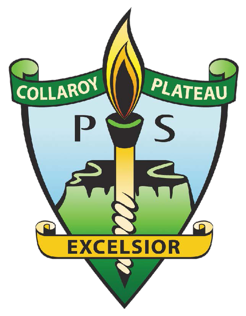 Collaroy Plateau Public School - Melbourne School 0
