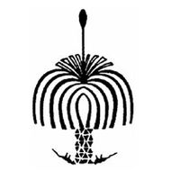 Hawker Park Primary School - Melbourne School