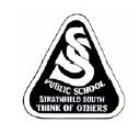 Strathfield South Public School - Melbourne School