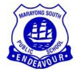Marayong South Public School - Melbourne School 0