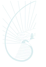Cape Byron Rudolf Steiner School - Melbourne School