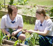 Nagle College - Melbourne School 5