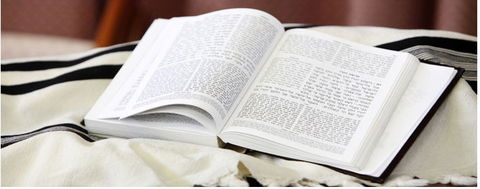 Mount Sinai College - Melbourne School 2