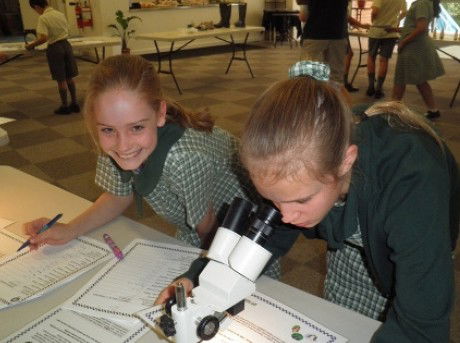 Berowra Christian Community School - Melbourne School 5