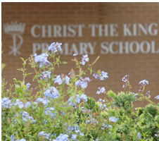 Christ The King North Rocks - Melbourne School 4