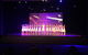 Dianne McLellan Dancers - thumb 5