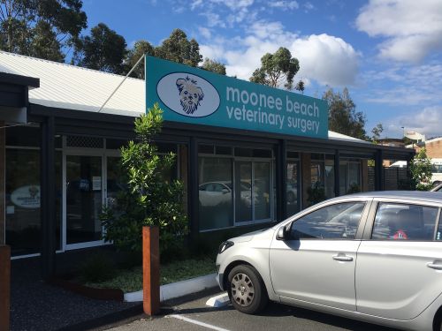 Moonee Beach NSW Melbourne School