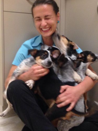 Pacific Vetcare - Melbourne School 7