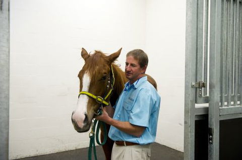 Pacific Vetcare - Melbourne School 2