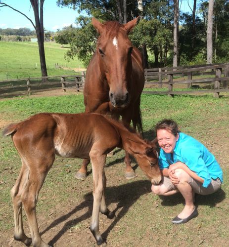 Pacific Vetcare - Melbourne School 5