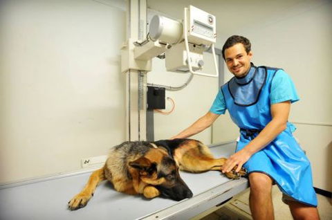 Pacific Vetcare - Melbourne School 0