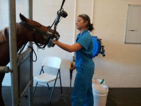 Pacific Vetcare - Melbourne School 9