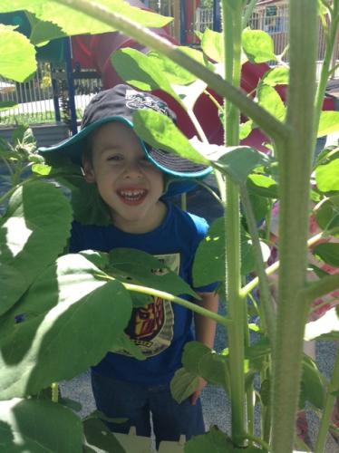 Central Gardens Childcare - Melbourne School 1