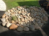Terrigal NSW Schools and Learning Melbourne School Melbourne School
