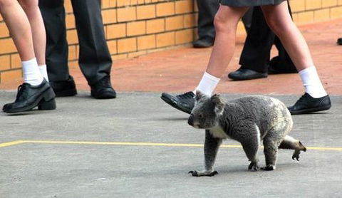 St Philip’s Christian College - Melbourne School 2
