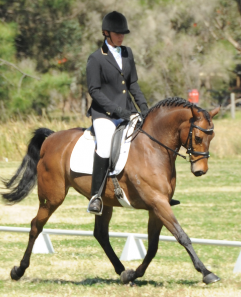 Encantador The Riding School - Melbourne School 4