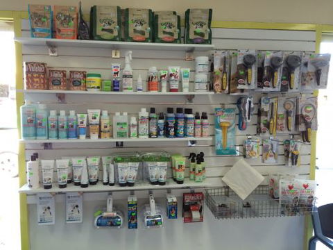 Albion Park Veterinary Hospital - Melbourne School 4