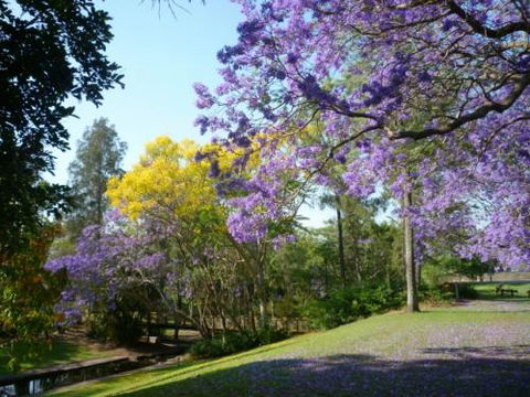 Grafton Art Club Inc - Melbourne School 1