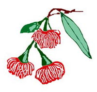 Mudgeeraba Special School - Melbourne School