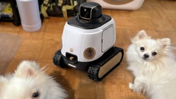 AI robot may stop your dog from barking while you're gone Melbourne School