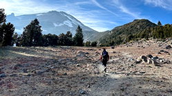 Mount Shasta climber recounts harrowing 500-foot slide, overnight crawl to safety: report Melbourne School