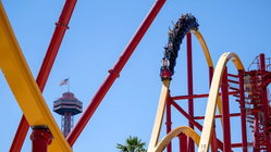 Popular amusement park bans guest for life after roller coaster stunt viral video Melbourne School
